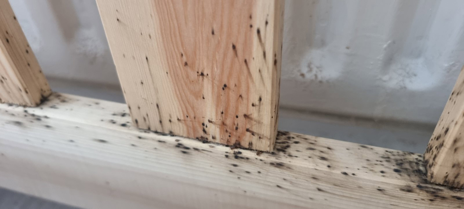 Do Bed Bugs Live Inside Wooden Beds? - Bed Bug Specialist